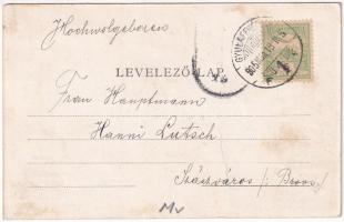 1905 Gyulafehérvár, Karlsburg, Alba Iulia; Új kapu. Schäser Ferenc kiadása / Neutor / castle gate (r...