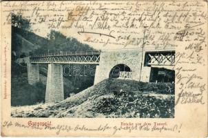 1903 Nagyapold, Grosspold, Apoldu de Sus; Brücke vor dem Tunnel. Bahnstrecke Alvincz-Nagyszeben / vasúti híd az alagút előtt / railway tunnel and bridge, railway line between Vintu de Jos and Sibiu (r)