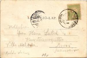 1903 Nagyapold, Grosspold, Apoldu de Sus; Brücke vor dem Tunnel. Bahnstrecke Alvincz-Nagyszeben / va...