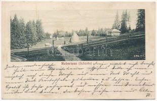 1914 Nagyszeben, Hermannstadt, Sibiu; Őzrét / Santa / Schanta, Rehwiese (ázott / wet damage)