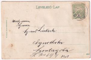 1905 Szászváros, Broos, Orastie; Fő utca, gyógyszertár, Lobstein Lázár, H. Graef üzlete és saját kia...