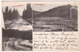 1907 Brezoi, Brezoiu (Valcea); Voie d'exploitation, Fabrica Scieries, Funiculare, Cale de exploatare. Societatea Anonima Romana Pentru Industria Forestiera Bucuresci / Erdélyi Erdőipar Részvénytársaság Budapest / sawmill, industrial railway, funicular, train (EK)