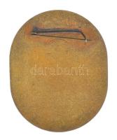 ~1930. "Látássérült - Vakok Szövetsége" zománcozott bronz jelvény (41x50mm) T:AU apró zomá...