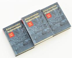 Bolgár Iván-Végh Oszkár: Könyvnyomtatás Magyarországon I-III. Bp, 1973, Kossuth. Minikönyv