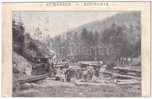 1896 (Vorläufer) Rumänien / Romania timber transporting industrial railway, tran, locomotive / Román faszállító iparvasút, gőzmozdony, vonat (EK)
