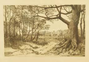 Bojtos Károly (1936-2011): Folyópart. Rézkarc, papír, jelzett, üvegezett fakeretben. 20x30 cm