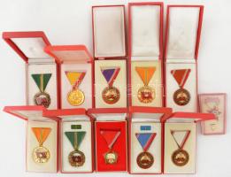 11db vegyes szocialista kitüntetés tokban, közte  1965. "Szolgálati Érdemérem - A Haza Fegyveres Szolgálatában", ~1960-1970. "A Haza Szolgálatáért Érdemérem" többféle fokozatban C:AU,XF