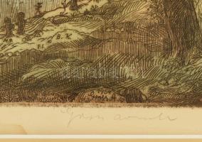 Gross Arnold (1929-2015): Vajdahunyad vár. Színezett rézkarc, papír, jelzett. Üvegezett fakeretben, ...