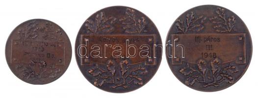 1948-1949. "Csepel Munkás Testedző Kör 1912" kétoldalas Br díjérem (3db) T:1-