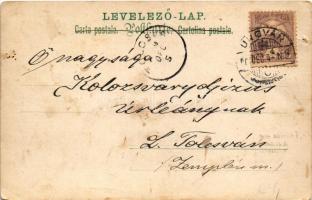 1900 Húzzad csak, húzzad csak keservesen! Magyar folklór, cigány zenész / Hungarian folklore art pos...