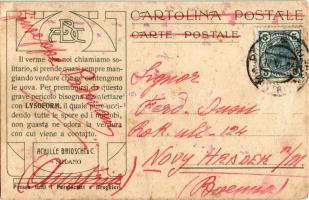 La Posta in Ungheria / The Post Office in Hungary. Hungarian post stamp and flag. Italian Lysoform a...