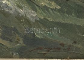 Sütő János (1933-2019): Kárpátaljai táj. Olaj, karton. Jelzett. Hátoldalán autográf felirattal. Fa k...