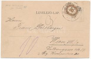 1904 Alsóidecs, Alsó-Idecs, Eidisch, Ideciu de Jos; Villa Kosch. G. Rösler kiadása. G. Heiter felvét...