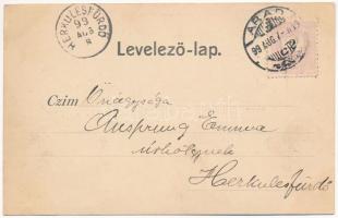 1899 (Vorläufer) Fogaras, Fagaras; Parade-Ausrückung, Kaserne, Schloss, Papier-Mühle / Katonai felvo...