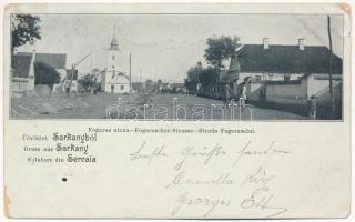 1900 Sárkány, Schirkonyen, Sercaia (Brassó, Brasov); Fogaras utca, templom / Fogarascher-Strasse / Strada Fegerasului / street view, church (EM)