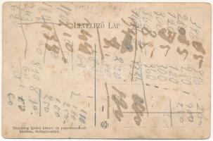 Szilágysomlyó, Simleu Silvaniei; Magura, Simai kastély, nyaraló, szőlő. Sternberg Ignác kiadása / ca...