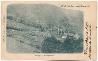 Bálványosfürdő, Baile Balvanyos (Torja, Turia); hideg és meleg fürdő. Bogdán F. fényképész / spa, baths (kis szakadás / small tear)