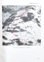 Déván, Stephan von: Standard Abfahrten in Europa. München, 1938. Bergverlag. Kiadói vászonkötés, kis...