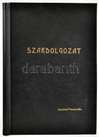 1980 A balatoni gőzhajózás rövid története 1846-1980. Szakdolgozat. 54 p + nagyon sok fotó