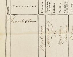 1818 Máramaros megye útlevele Friczki Anna részére Nagyváradra, viaszpecséttel