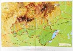 Nováki Gyula - Baráz Csaba - Dénes József - Feld István - Sárközy Sebestyén: Heves megye várai az ős...