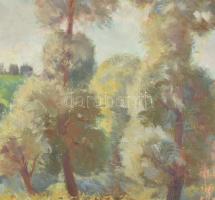 Olvashatatlan jelzéssel: Fák a mezőn. Olaj, vászon, Dekoratív keretben. 45x35cm