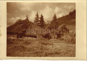 1917 Carlibaba, Kirlibaba, Radnalajosfalva (Bukovina, Bucovina); Lajosfalva zerschossenes Bauerhaus / WWI destroyes farm houses. photo (cut) (12,8 x 9 cm)