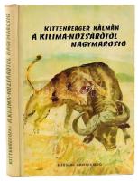 Kittenberger Kálmán: A Kilimandzsárótól Nagymarosig. Bp., 1956, Ifjúsági Könyvkiadó. Első kiadás. Félvászon kötés