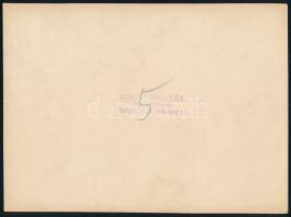 cca 1930-1940 Esküvői csoportkép, a résztvevők között vitéz Tarnóy Oszkár őrnagy (később alezredes) ...