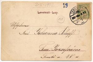 1902 Temesvár, Timisoara; Erzsébetváros, Dózsa utca, kerékpár, sorompó, vasúti átkelő és őrház. Pola...