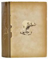 N.V. Pinyegin: Kalandozások a sarkvidéken. Bp., 1954, Művelt Nép Könyvkiadó. Kiadói félvászon kötés,...