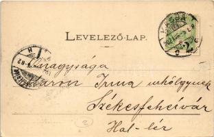 1902 Kassa, Kosice; Fő utca, színház, üzletek. Nyulászi Béla kiadása / main street, theatre, shops (...
