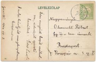 1911 Gödöllő, Királyi kastély (EB)