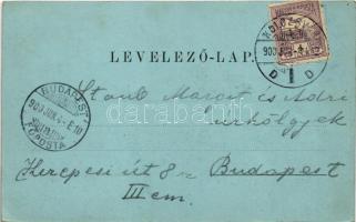 1900 Kolozsvár, Cluj; Sétatéri részlet / park, promenade (EK)