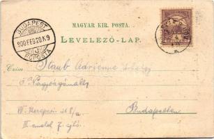 1900 Kolozsvár, Cluj; Központi szálloda, Biasini Sándor, Medgyesy és Nyegrutz üzlete. Keresztesy Pál...