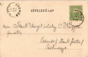 1902 Biharfüred, Stana de Vale, Stina de Vale; Dianaberke, vízesés, fahíd / creek, waterfall, wooden...