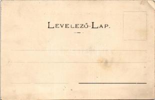 Nagybánya, Baia Mare; Szent István torony / city tower (fl)