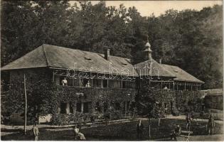 1912 Szováta, Sovata; Bercsényi szálloda. Adler fényirda / hotel, spa (EK)