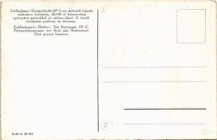 Budapest III. Csillaghegyi Árpád fürdő, strand, park, sétány, szálloda és étterem, hátoldalon reklám...