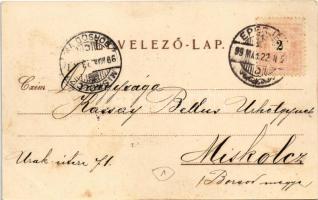 1899 (Vorläufer) Magyar paraszt, magyar folklór / Ungarischer Bauer / Hungarian folklore art postcar...