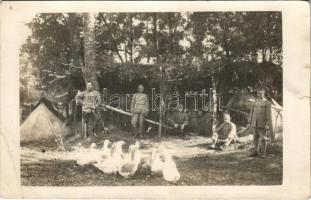 Erdőben álcázott sátortábor, katonák és a menázsi szárnyasok / WWI Austro-Hungarian K.u.K. military camp camouflaged in the forest, soldiers and the food supply poultry. photo + K.u.K. Hus. Rgmt. Erzherzog Franz Salvator No. 15. III. Division Feldpost 107 (szakadás / tear)