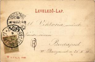 1904 Kolozsvár, Cluj; Mátyás király tér, New York palota, Tauffer Dezső, Schuster Emil üzlete / pala...