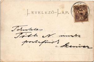 1900 Szakolca, Skalica; látkép, utca / general view, street view (EM)