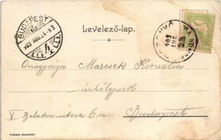 1903 Rozsnyó, Roznava; Rozsnyó-fürdő, lakóház. Posner / spa, villa, apartment. Art Nouveau, floral (...