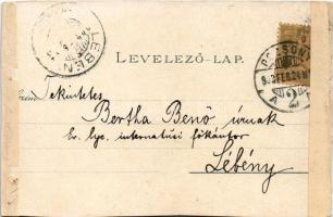 1903 Pozsony, Pressburg, Bratislava; Újtelep, villák, Evangélikus líceum internátusa / Neustift / vi...