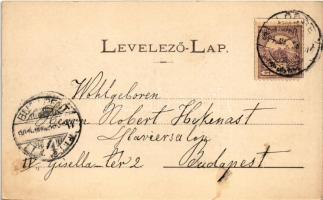 1901 Lőcse, Levoca; látkép. Latzin János kiadása / general view