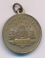 ~1930. "Szorgalom és jó erényért / Gyüjts a jövöért" bronz medál füllel (23mm) T:XF