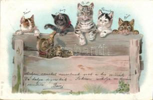 1899 Cats litho