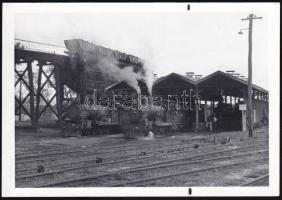 Mareeba (Queensland, Ausztrália), vasúti rakodóállomás gőzmozdonyokkal, fotó, a hátoldalon feliratozva, 13x9 cm / Mareeba (Queensland, Australia), railway loading station with locomotives, photo