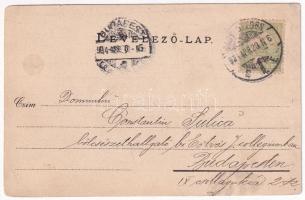 1904 Brád, Rákova aranyzúzda. Deutsch Ármin felvétele. Joan Cutean kiadása / gold mine. Art Nouveau,...